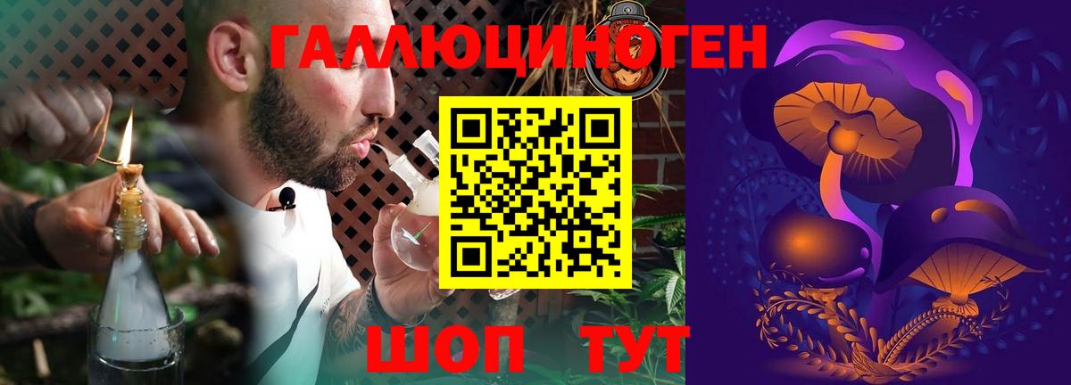 Псилоцибиновые грибы Cubensis Волжск